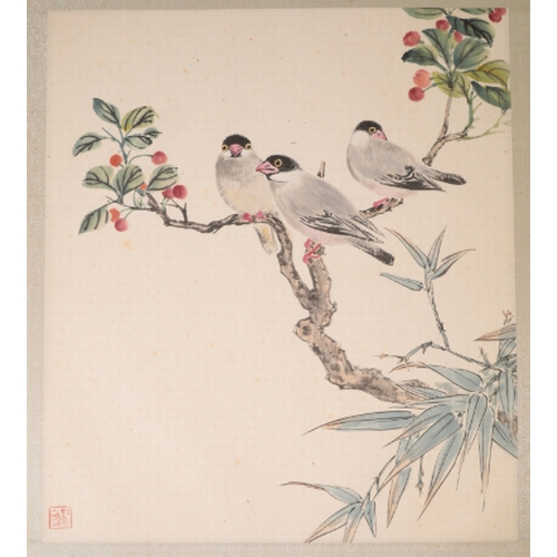 84 - AN ALBUM OF CHINESE ORNITHOLOGICAL STUDIES depicting birds perched in blossoming branches and on roc... 
