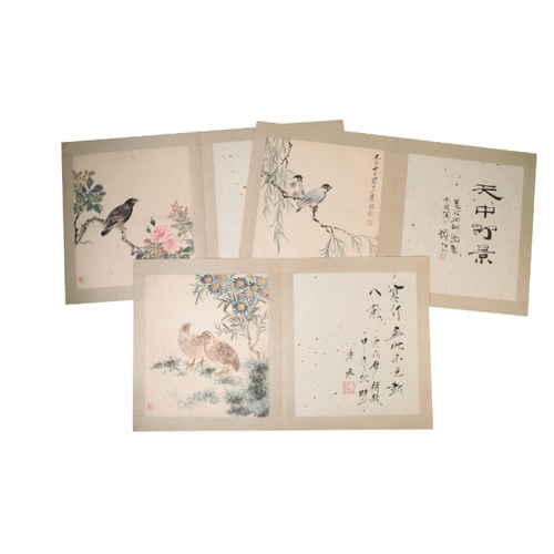 84 - AN ALBUM OF CHINESE ORNITHOLOGICAL STUDIES depicting birds perched in blossoming branches and on roc... 
