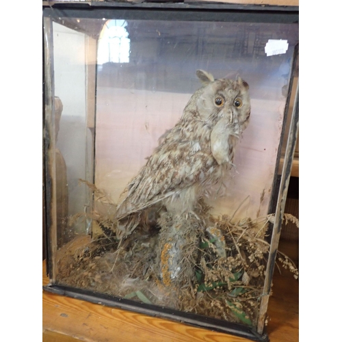 Lot 89        