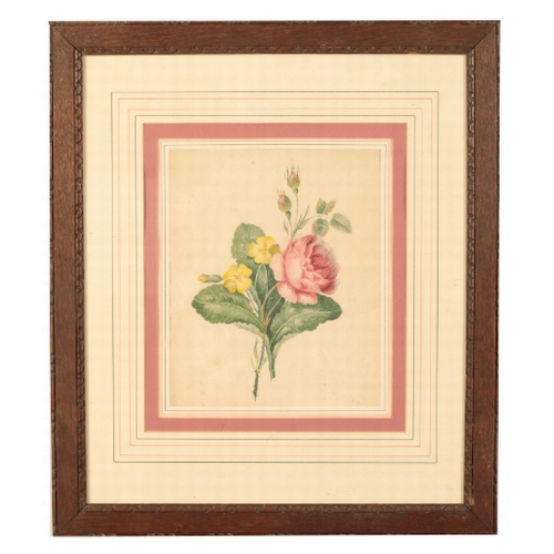 305 - ENGLISH SCHOOL, 19TH CENTURY A botanical study watercolour, 27cm x 22cm; together with a quantity of... 