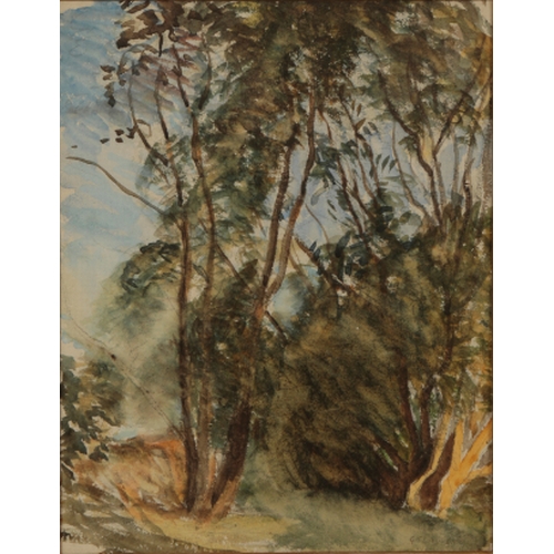 Lot 201       