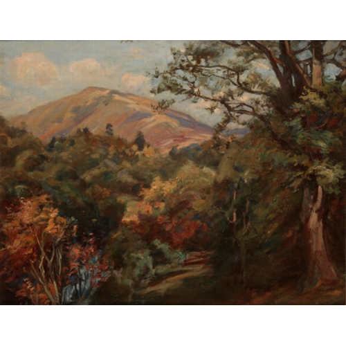 Lot 202       