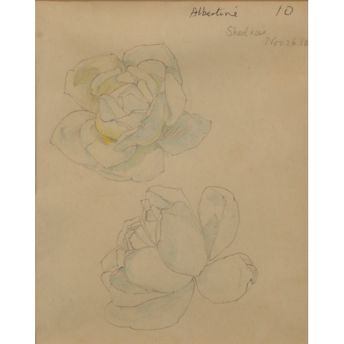 Lot 230       