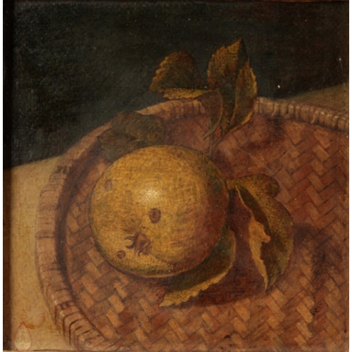 Lot 236       