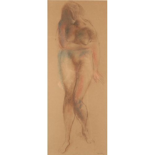 Lot 246       