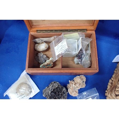 389 - A COLLECTION OF FOSSILS & MINERAL SPECIMANS