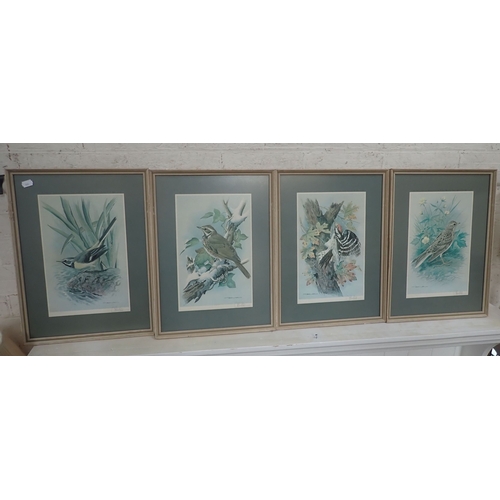 594 - FOUR SIGNED BASIL EDE GARDEN BIRD PRINTS with a collection of pictures and prints