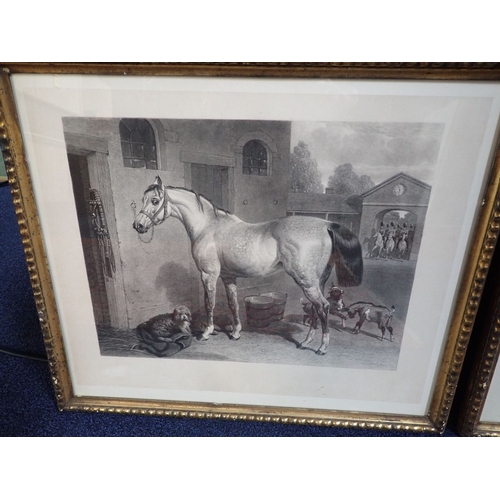 613 - A PAIR OF ENGRAVINGS: HORSE STUDIES in gilt frames