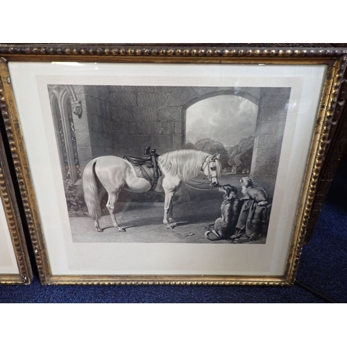 613 - A PAIR OF ENGRAVINGS: HORSE STUDIES in gilt frames