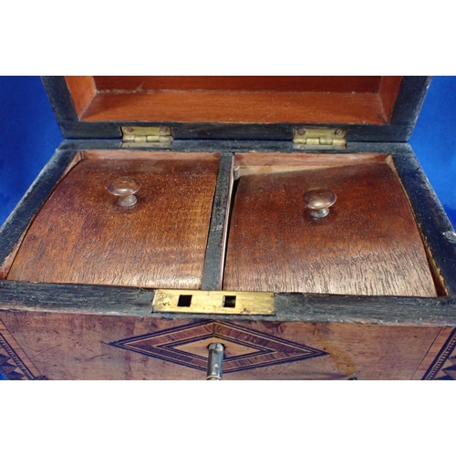 110 - A VICTORIAN WALNUT AND PARQUETRY TEA CADDY with domed top