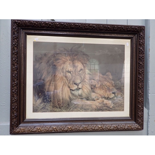 601 - A PEARS PRINT 'BRITISH LIONS' (AFTER LANDSEER) c.1900, in a heavy moulded frame (mounted over the ma... 