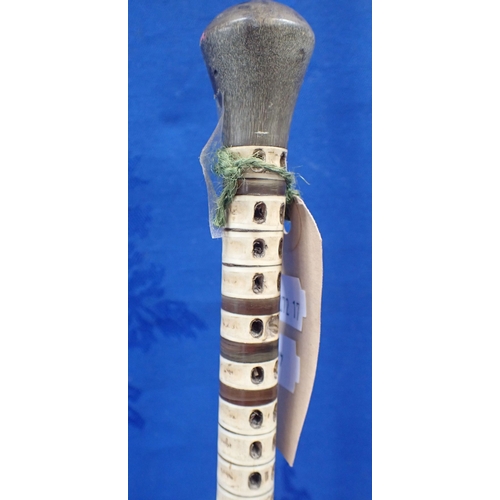 211 - A SHARKS VERTEBRAE WALKING CANE 83cm long