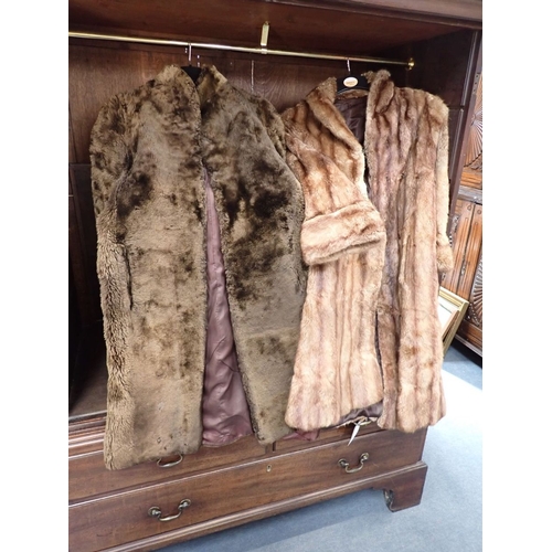 154 - A COLLECTION OF FUR COATS various (5)