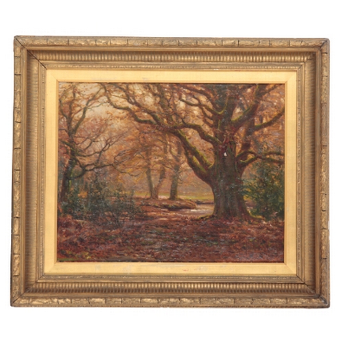 274 - FREDERICK GOLDEN SHORT (1863-1936) A WOODED LANDSCAPE oil on canvas, signed lower right, 40cm x 50cm... 