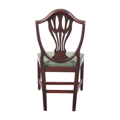 290 - A SET OF EIGHT MAHOGANY DINING CHAIRS IN THE MANNER OF GEORGE HEPPLEWHITE including two elbow chairs... 