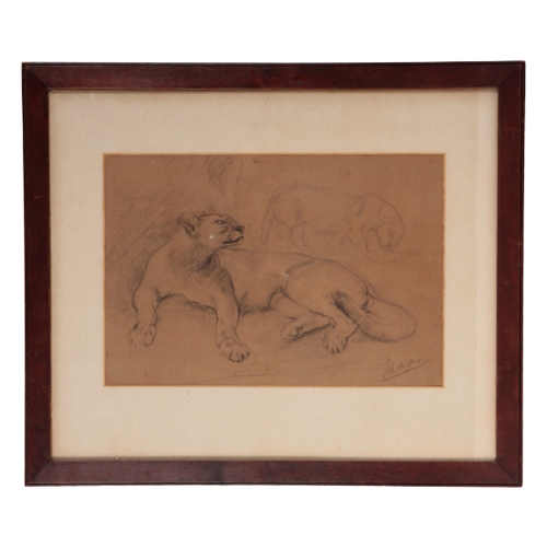 330 - JOHN MACALLAN SWAN RA (1847-1910) 'LIONESS RECLINING' pastel on paper, signed lower right, 30.5cm x ... 