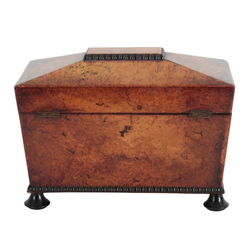 179 - A REGENCY BURR WALNUT AND EBONISED TEA CADDY early 19th century, of sarcophagus form, the hinged lid... 