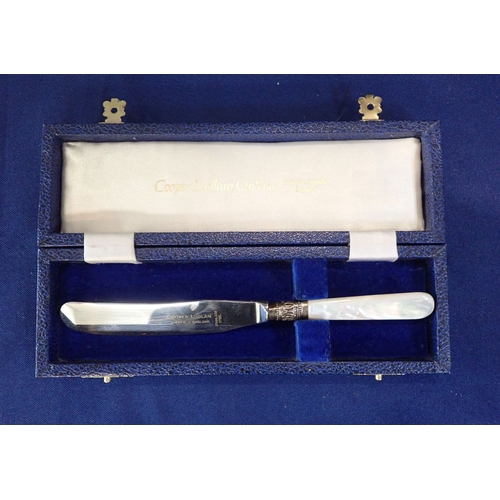 348 - A 'TIPPERARY CRYSTAL' CHEESE KNIFE WITH CUT GLASS HANDLE (boxed) with other boxed cutlery items