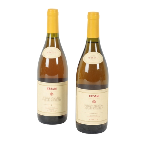 109 - A MIXED PARCEL OF EUROPEAN WHITE WINE Zenato Soave Classic, 2006, 3 bottles; Cesari Pinot Grigio Del... 