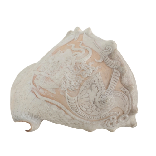 271 - TWO CAMEO CARVED SHELLS one example with a metal mount for attaching to lights, 14cm high, the other... 