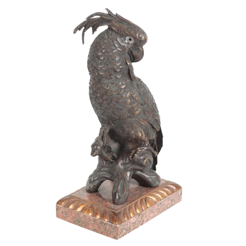 385 - CONTINENTAL SCHOOL 20TH CENTURY, A BRONZE MODEL OF A PARROT cast naturistically, with glass eyes, on... 