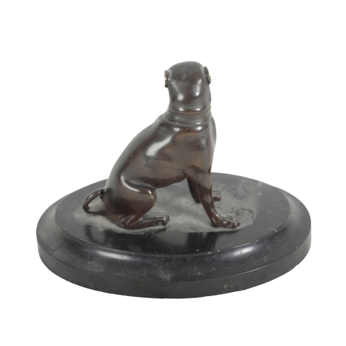 389 - CONTINENTAL SCHOOL 19TH CENTURY, A BRONZE MODEL OF A PUG on a stepped stone base, 9cm high