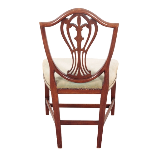 556 - A REGENCY MAHOGANY SHIELD BACK SIDE CHAIR with pierced and carved vase form back, on tapered block f... 