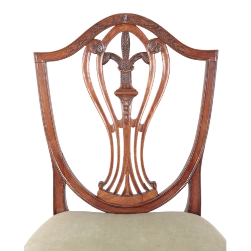 556 - A REGENCY MAHOGANY SHIELD BACK SIDE CHAIR with pierced and carved vase form back, on tapered block f... 