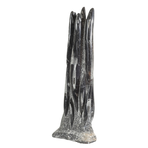 258 - AN ORTHOCERAS FOSSIL PILLAR 55cm high

Provenance: The property of a deceased Estate from West Dorse... 