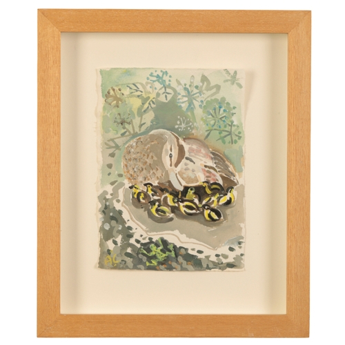 493 - *ANTHEA CRAIGMYLE (1933-2016) A study of a duck and ducklings with a frog nearby, monogrammed lower ... 