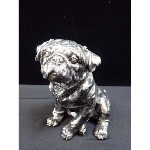 7 - A CONTEMPORARY SILVERED MODEL OF A BULLDOG 29cm high