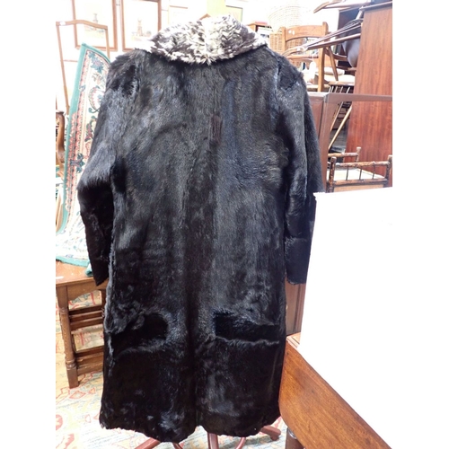 33 - A FULL LENGTH SABLE FUR COAT with black and white collar (shedding slightly)