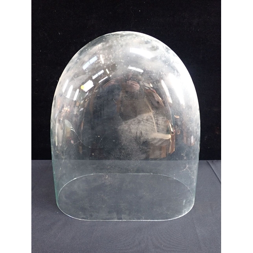 314 - A VCTORIAN GLASS DOME of flattened oval form, the foot rim 39.5 x 21.5cm, 44cm high (dome only)