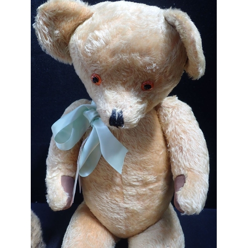 188 - A LARGE 1950S ENGLISH MOHAIR TEDDY BEAR 76cm high (one previous owner) two Arlesford Crafts Ltd Bunn... 