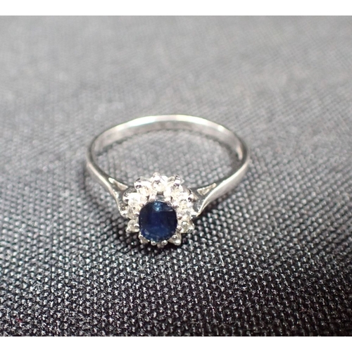 422 - A SAPPHIRE AND DIAMOND CLUSTER RING on a 9ct white gold shank, ring size Q