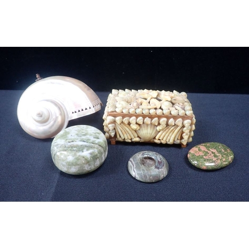 238 - A CARVED NAUTILUS SHELL with a shell box, a piece of serpentine and other stones