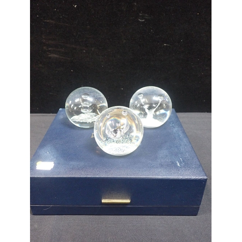 284 - A BOXED SET OF THREE CAITHNESS PAPERWEIGHTS