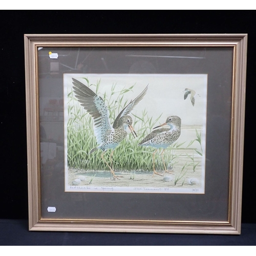 532 - JOHN TENNENT, b.1926: 'REDSHANKS IN SPRING' No. 74/95 dated 1975 to margin, 34.5 x 40.5cm (visible w... 