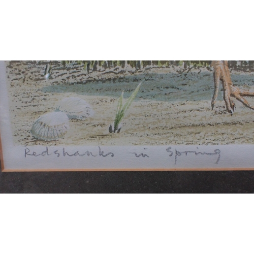 532 - JOHN TENNENT, b.1926: 'REDSHANKS IN SPRING' No. 74/95 dated 1975 to margin, 34.5 x 40.5cm (visible w... 