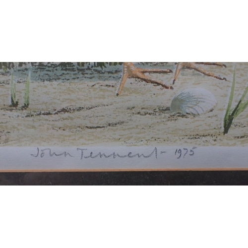 532 - JOHN TENNENT, b.1926: 'REDSHANKS IN SPRING' No. 74/95 dated 1975 to margin, 34.5 x 40.5cm (visible w... 