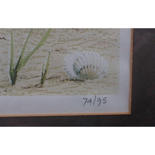 532 - JOHN TENNENT, b.1926: 'REDSHANKS IN SPRING' No. 74/95 dated 1975 to margin, 34.5 x 40.5cm (visible w... 