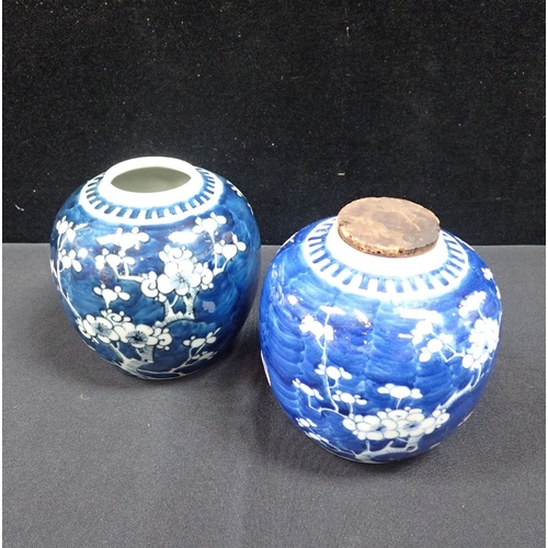 279 - TWO SIMILAR CHINESE BLUE AND WHITE PRUNUS JARS 13cm high (no covers, one with small star-crack to si... 