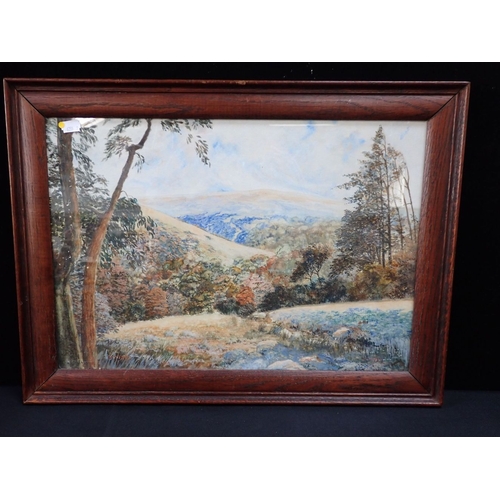 492 - H. W. PLOWMAN (20TH CENTURY): 'DUNKERY' watercolour, dated 1931, and signed 35 x 50cm plus frame