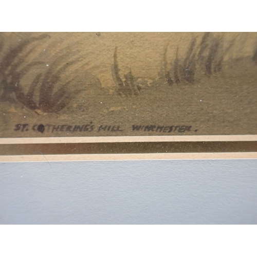 532 - ERNEST MICHAEL DINKEL: ST. CATHERINE'S HILL, WINCHESTER watercolour, signed and dated 1929 45 x 59cm... 