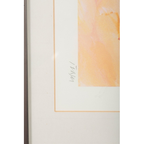 3 - *DONALD HAMILTON FRASER (1929-2009) 'Kinlochbervie' signed lower right, limited edition screen print... 