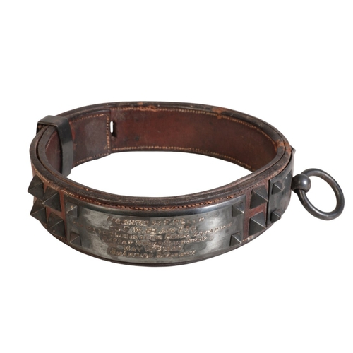 264 - A VICTORIAN LEATHER AND SILVER STUDDED DOG COLLAR with nickel silver plaque inscribed 