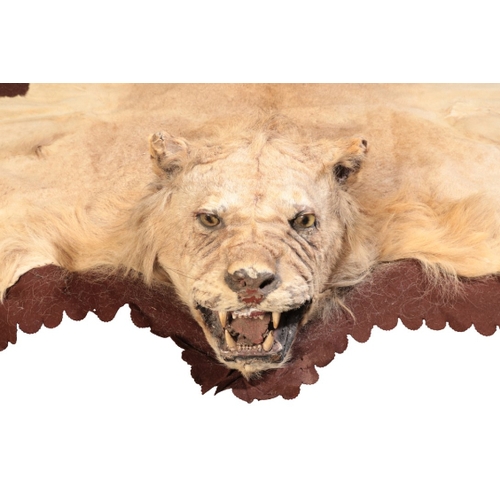 321 - A VICTORIAN MALE LION SKIN RUG with full head mount and felt-lined backing, 192cm x 140cm

Provenanc... 