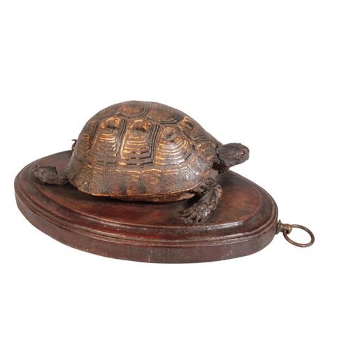 322 - TAXIDERMY: A VICTORIAN TORTOISE mounted on an oval oak wall plaque, 30cm long

Provenance: A Single ... 