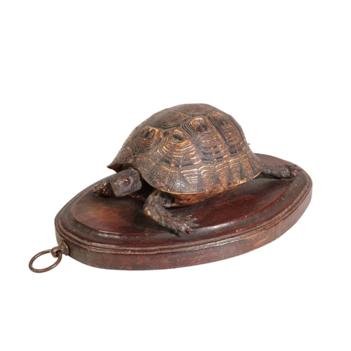 322 - TAXIDERMY: A VICTORIAN TORTOISE mounted on an oval oak wall plaque, 30cm long

Provenance: A Single ... 