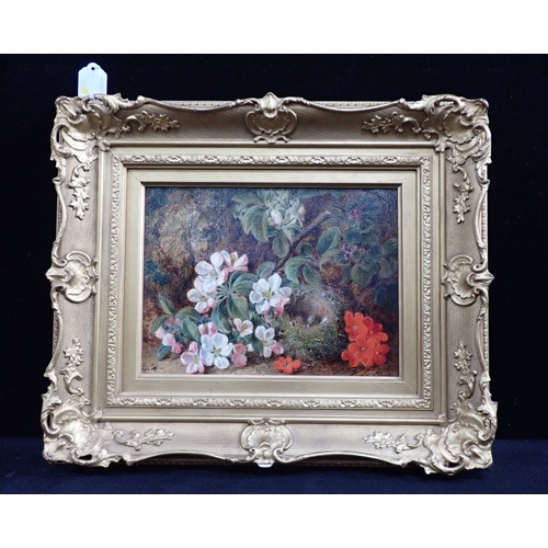 703 - GEORGE CLARE: WILD FLOWERS AND BIRD'S NEST oil on canvas 23 x 31cm plus moulded and gilt frame